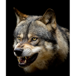 Wolfstatze