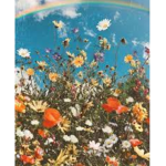 - Flower Studios -