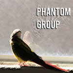 Phantom_2140 Group