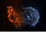 Fire Vs Dark