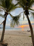 Tropical islands vibes