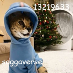 soggaverse