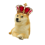 The Doge Kingdom!