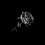 Rosess-