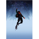 spider society bundle