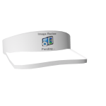 Image Review Pending Visor
