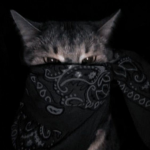 horrors clothing