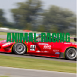 AnimalRacing