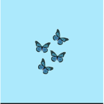 Skye’s Butterflies