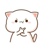 Cats Commander Group
