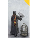 Potterhead Universe