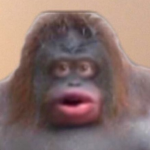 monke group for monke gods