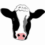 Teh Cow Squad
