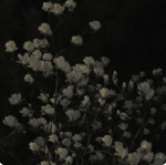Cloud 구름