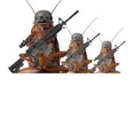 Roach Revolution