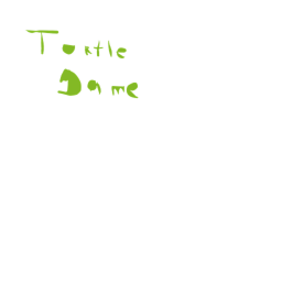 Turtle Game