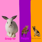 Group for people who like animals