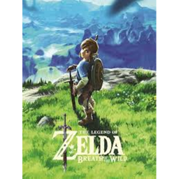 breath of the wild RP