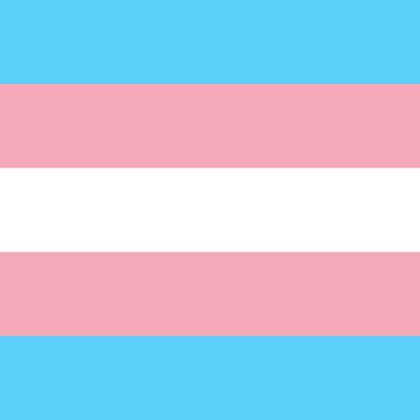 Trans Flag! Roblox decal