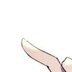 𝙽