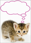 pompurr