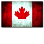 The Roblox Canadian Army