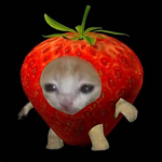 StrawKitty's Idol Group