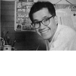 Akira Toriyama icon