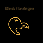 The Black Flamingos