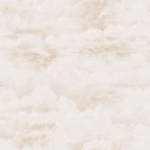 clothing by dreamy
