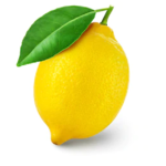 The Cult Of Lemons