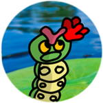 Water lily Caterpillar