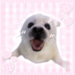 ૮꒰ ˶ˆㅅ ˆ˶꒱ა