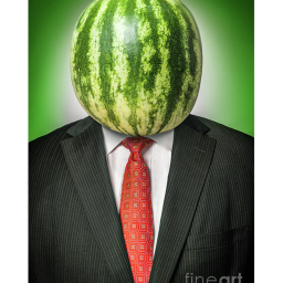MELON GROUP INTERVIEWS