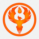 TEAM PHOENIX.