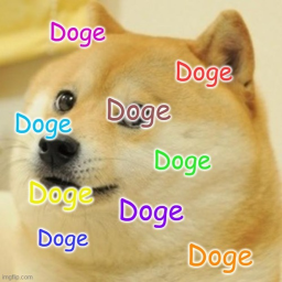 Dog island
