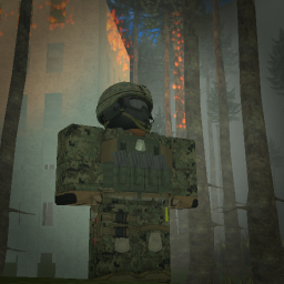 The Forest Project