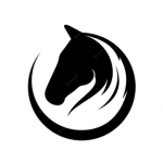 ~|SS riding academy|~