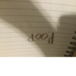 Poop studio’s