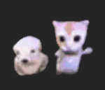 XAO Pets