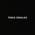 Studio Sociality.