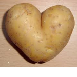 potatoZ squadZ