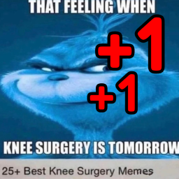 +1 "THAT FEELING WHEN KNEE SURGERY" per second