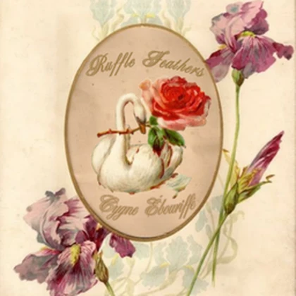 Cygne Ébouriffé Roblox group icon