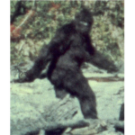 The Ape and Space Sasquatch Race