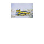 super cool salamanders