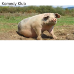 Komedy Klub
