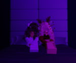 Lilac’s hangout place :D