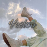 Vesloo