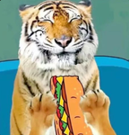 Toasty Tiger Studio